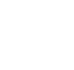 Anex